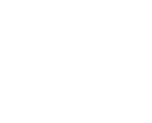 WisdomAuto